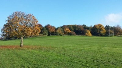 Beautiful Croydon