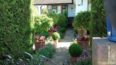 HOME in Bloom winner