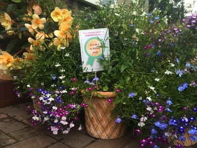 60 Bolney Grange - Most Colourful 2016
