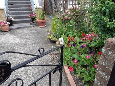 Elgin Rd 2021