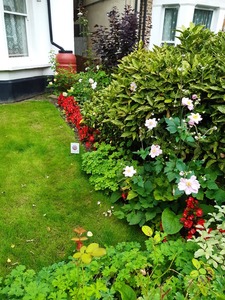HOME in Bloom